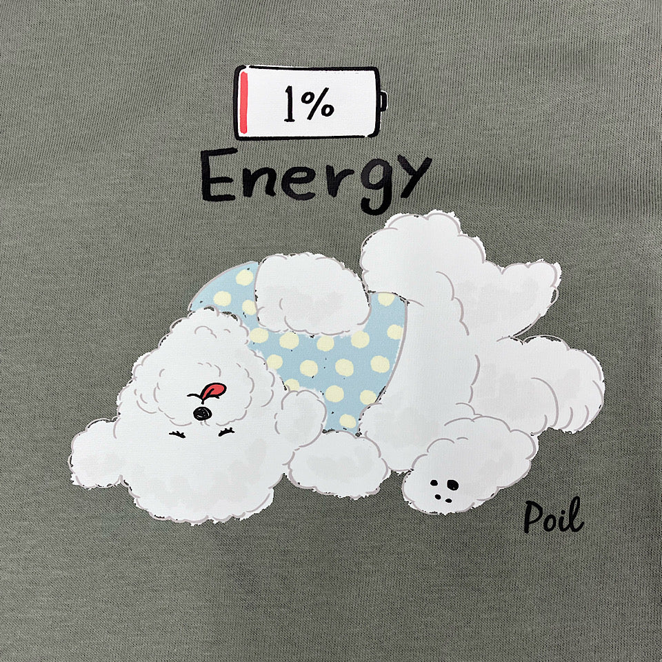 1% Energy PoilT