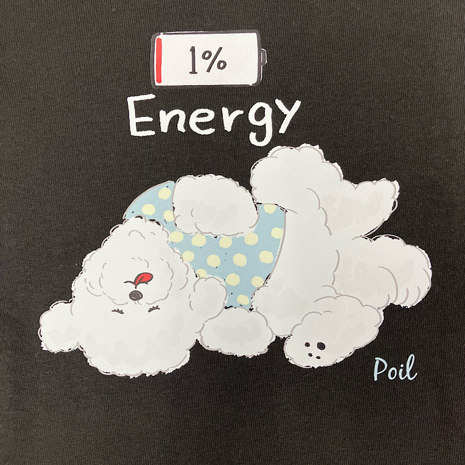 1% Energy PoilT