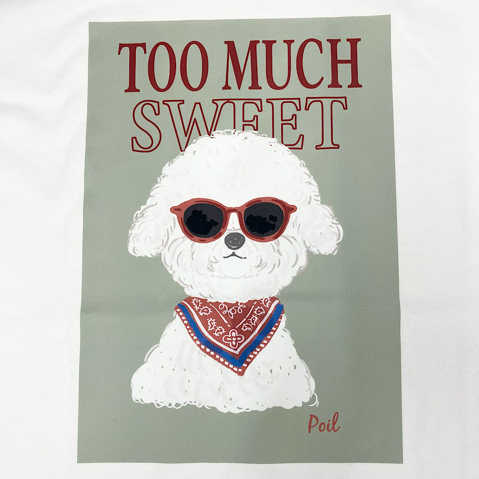 Sunglasses poil T