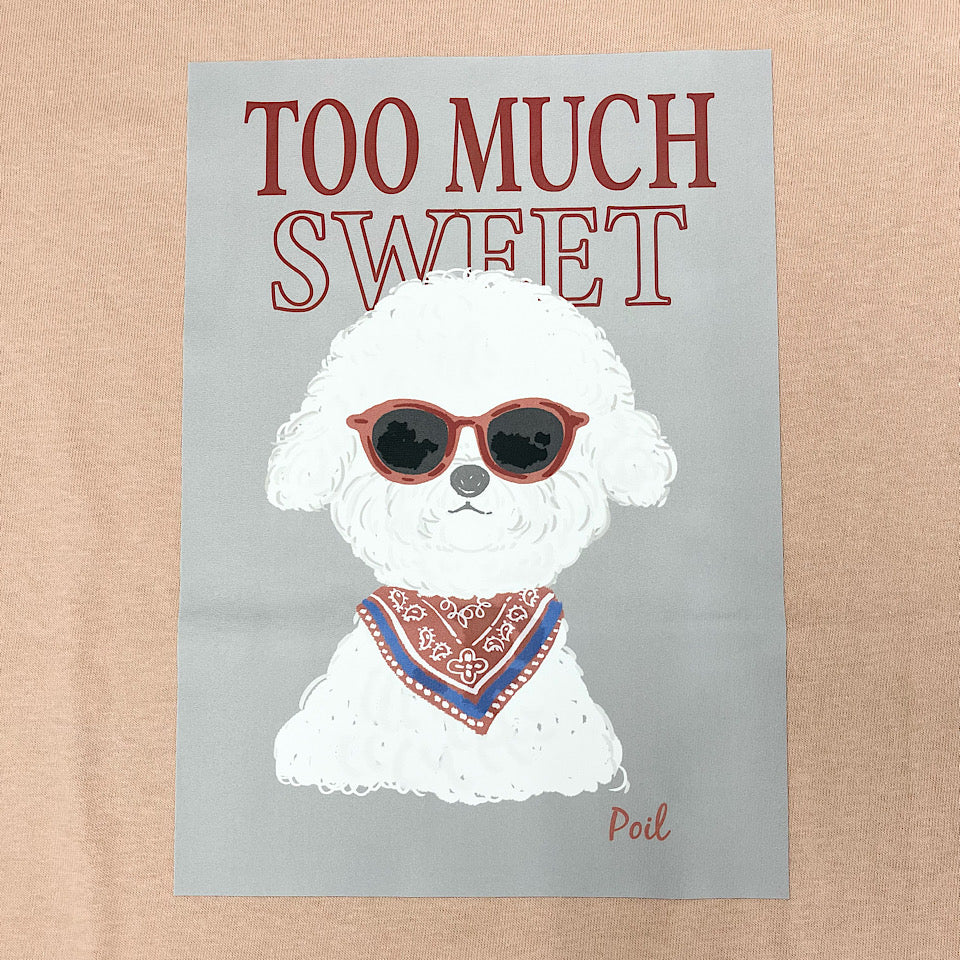 Sunglasses poil T