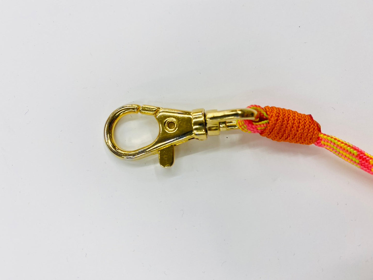 【新作商品】Bird リード 大型用