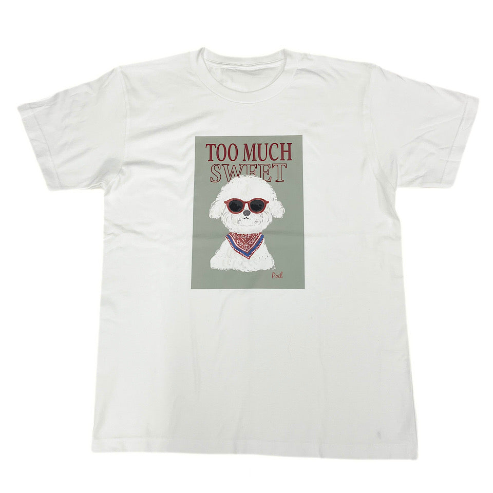 Sunglasses poil T