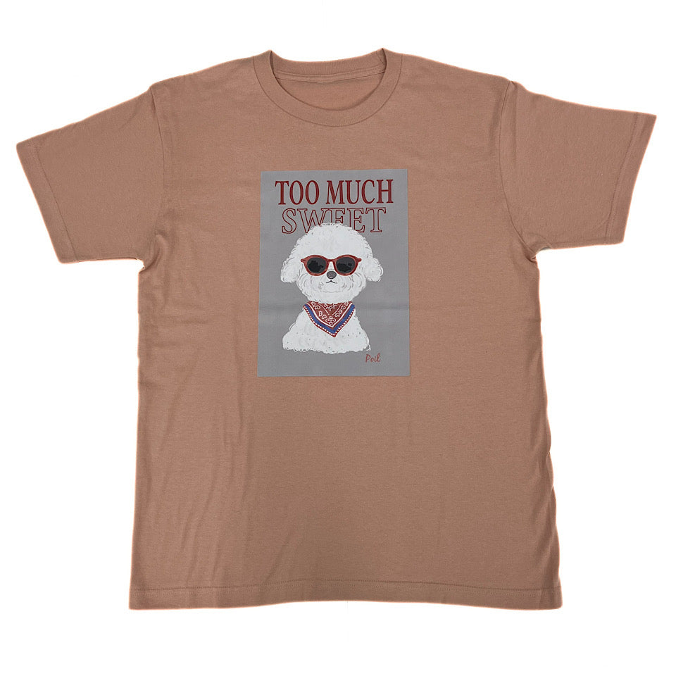 Sunglasses poil T