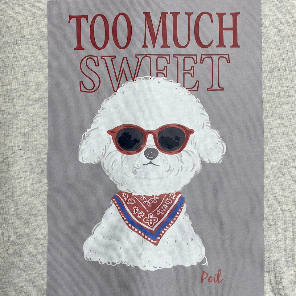 【新作商品】 Sunglasses poil hoodie