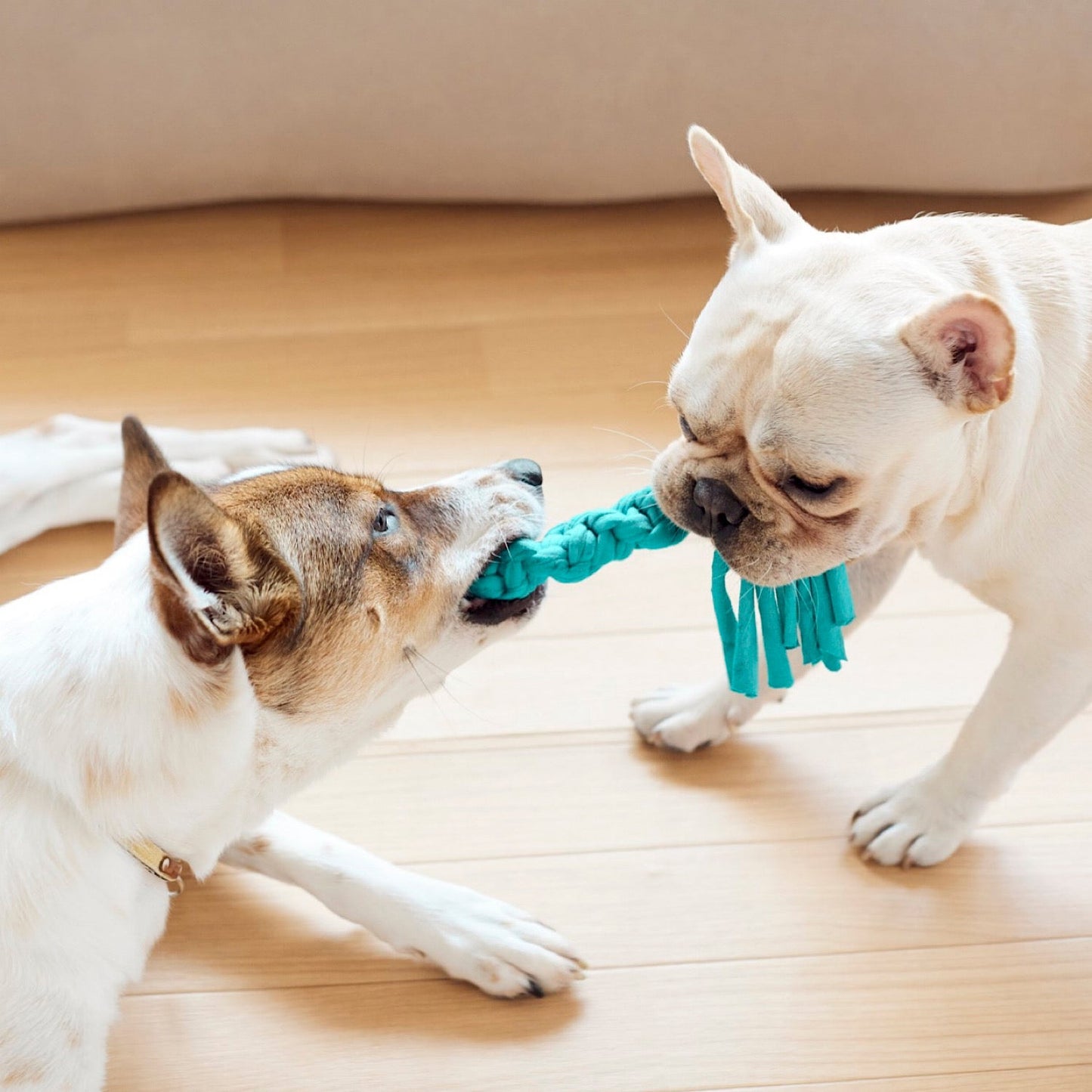 Upcycle DOG TOY(10cm)