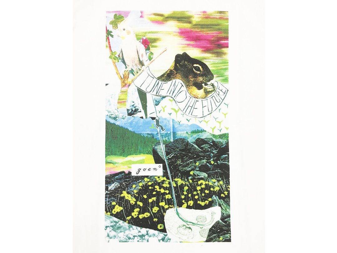 diary-b hike