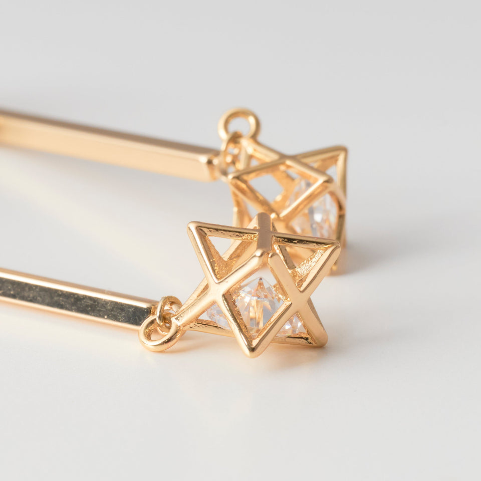 【先行予約受注商品】Hexagram pierce/earring