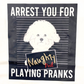 【新作商品】Arrest bichon T